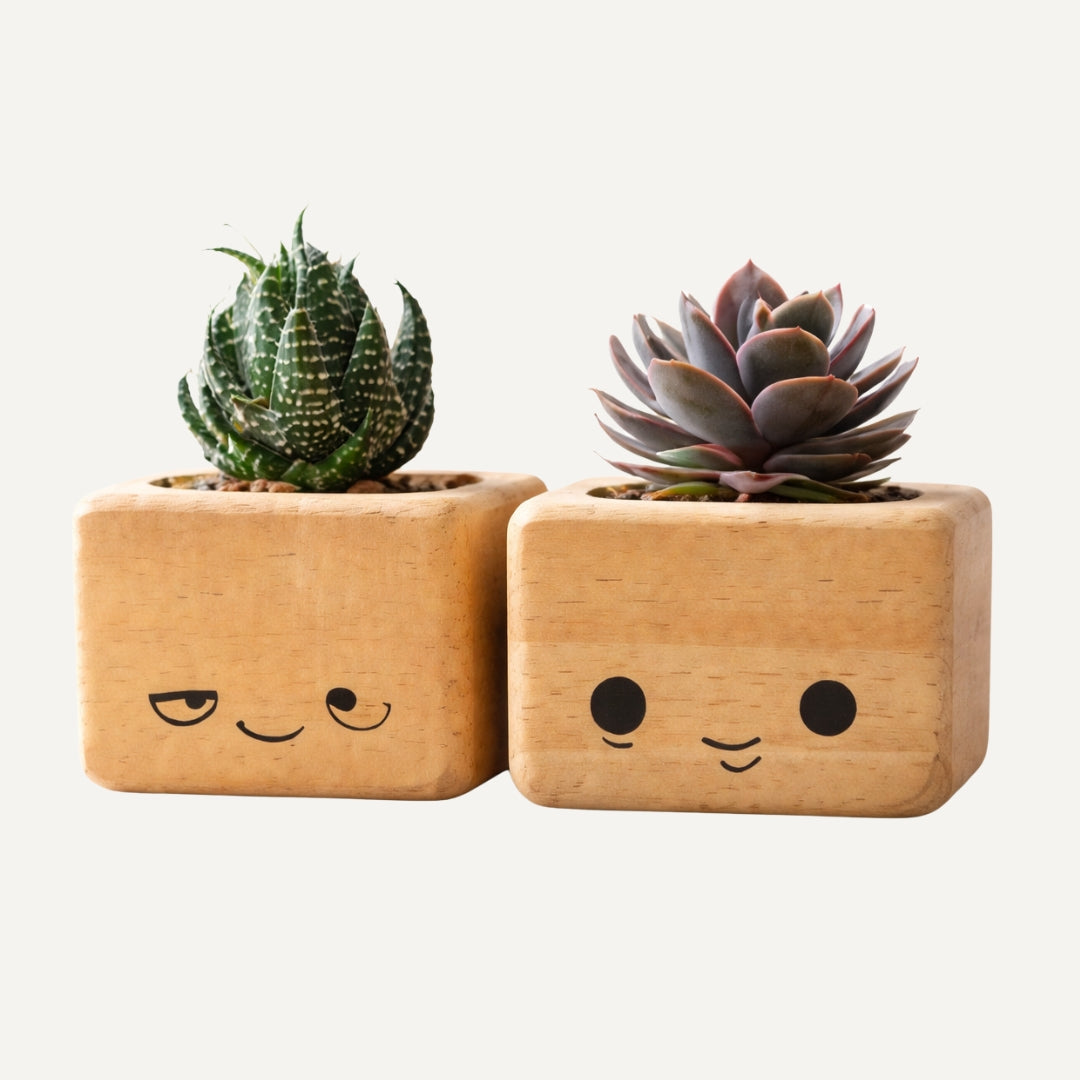 Caras - Maceteros artesanales de madera con rostros minimalistas