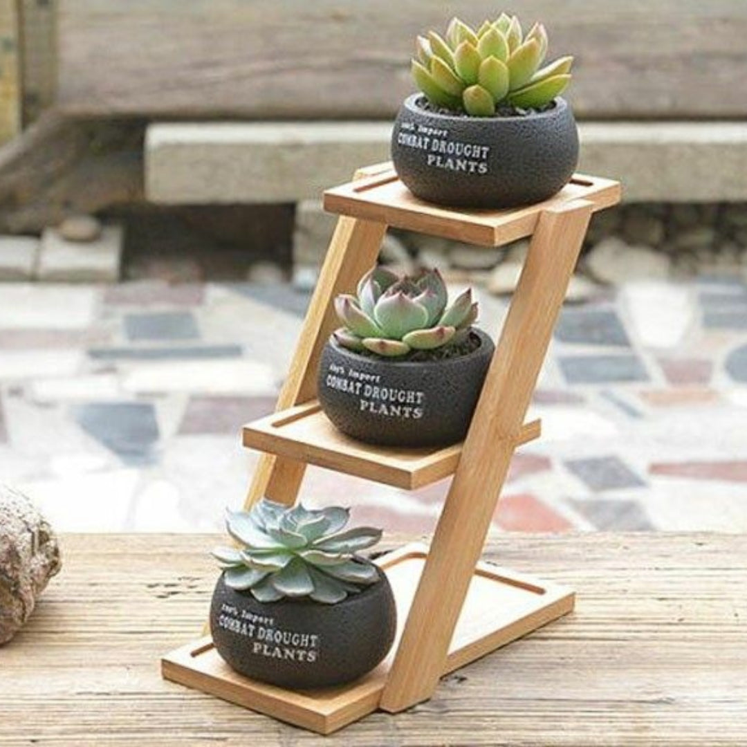 Escala - Soporte inclinado para plantas