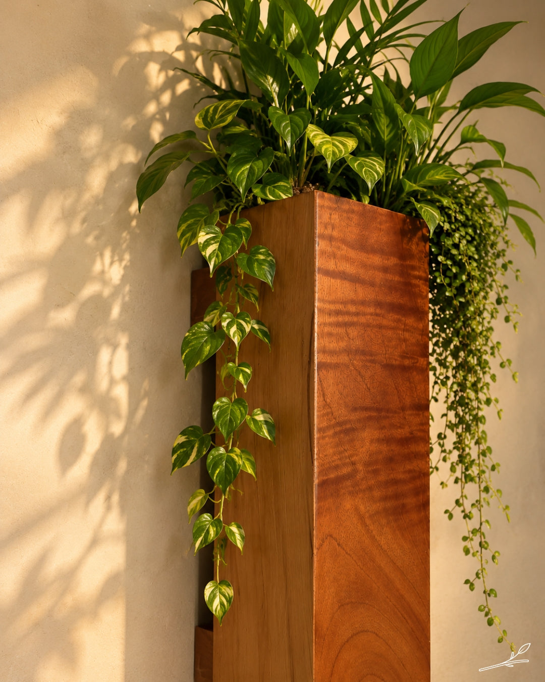 Linea - Marco vertical para plantas