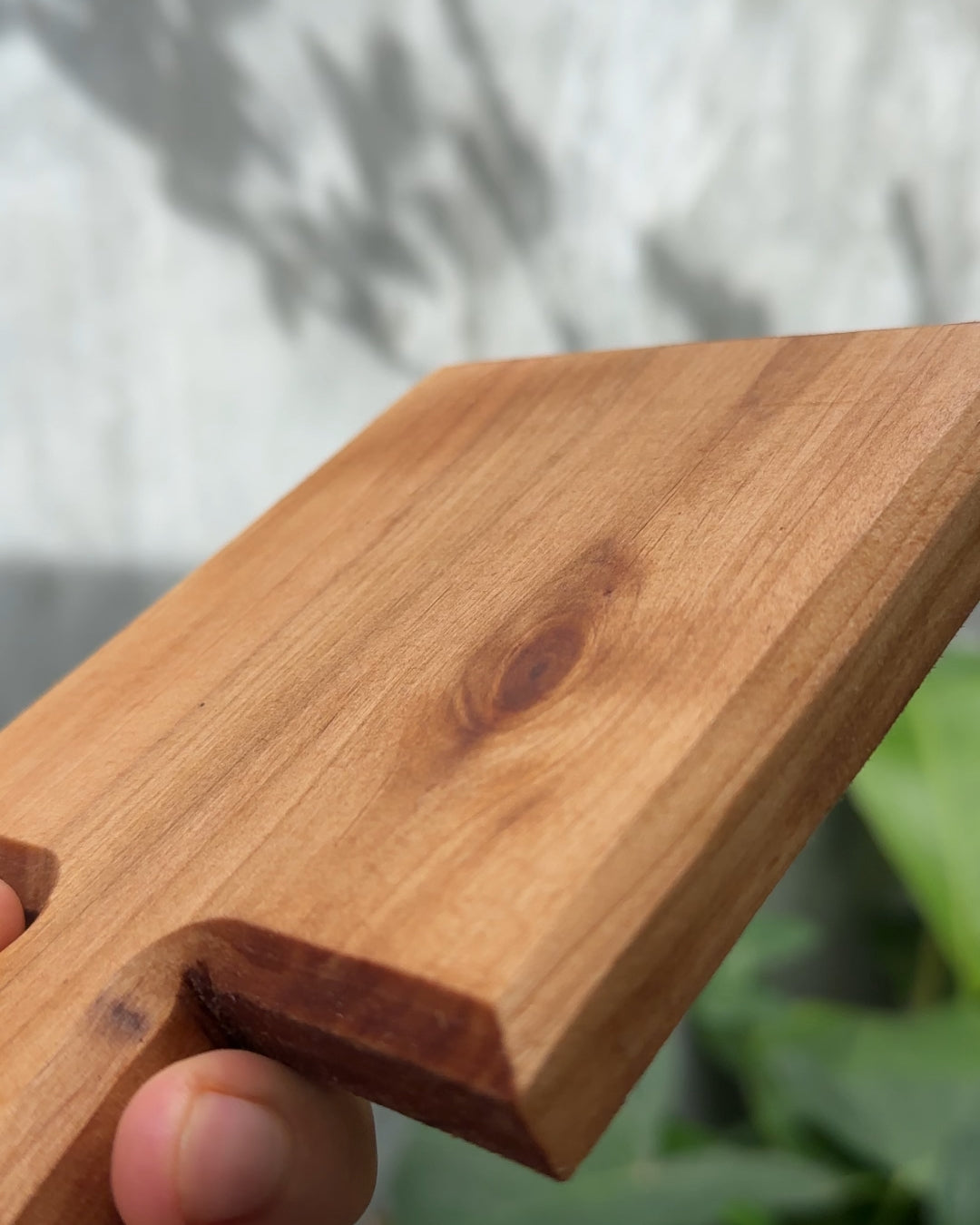 Tablero - Juego de posavasos artesanales de madera natural