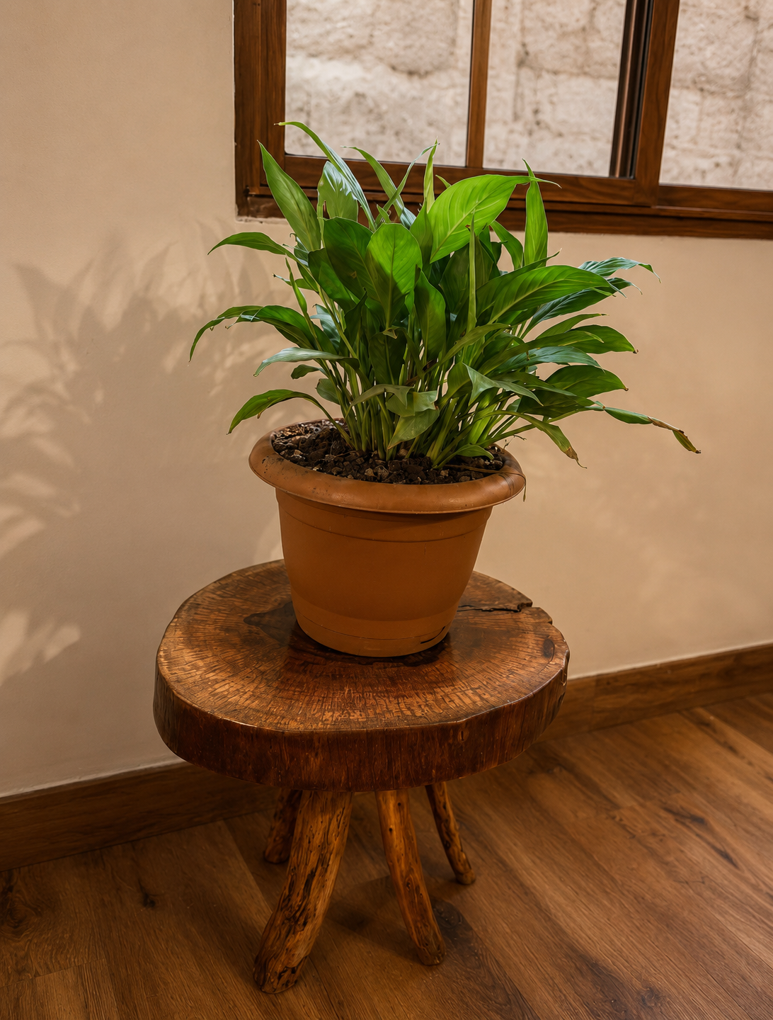 Mesa rústica artesanal de rodaja de madera natural