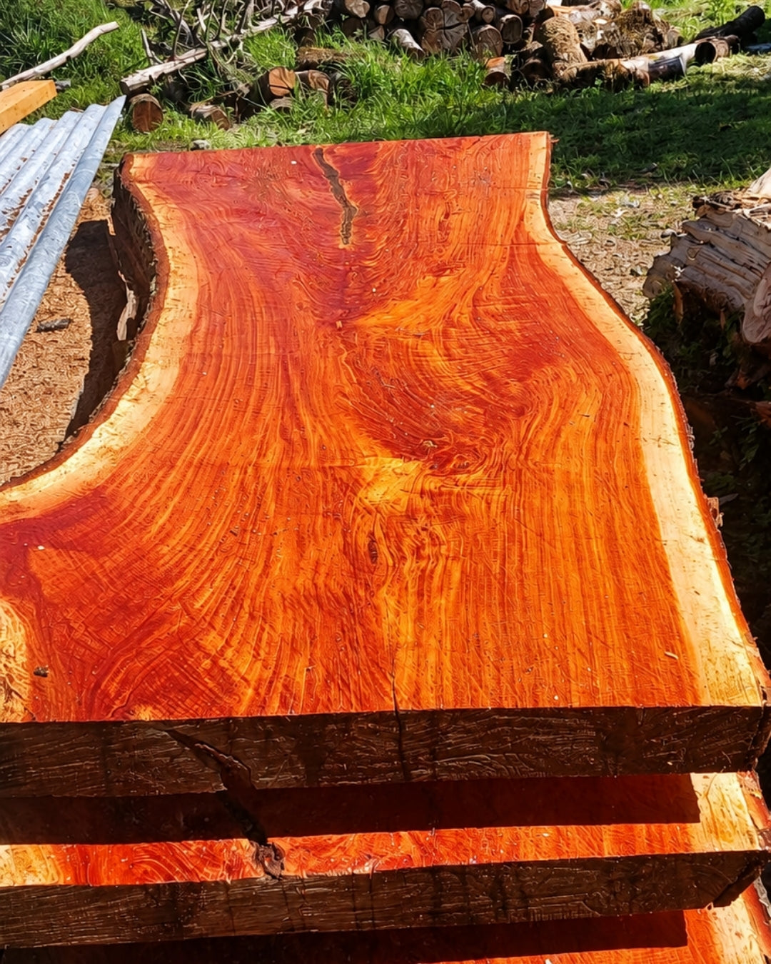 Madera Premium de Cedro Amargo