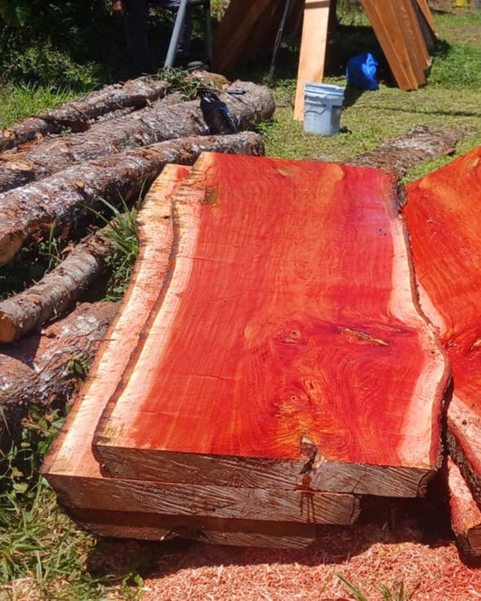 Madera Premium de Cedro Amargo