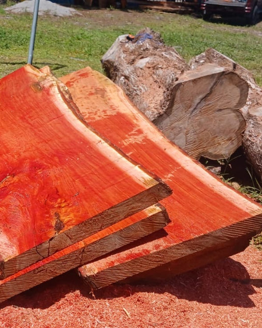 Madera Premium de Cedro Amargo