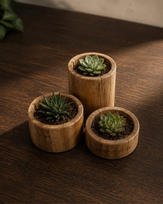 Maceteros rústicos pequeños de madera natural
