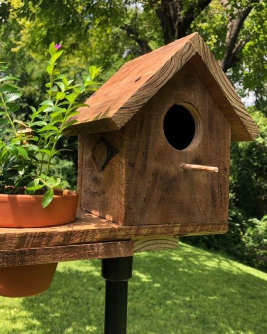 Hábitat - Refugio artesanal de madera para aves y plantas