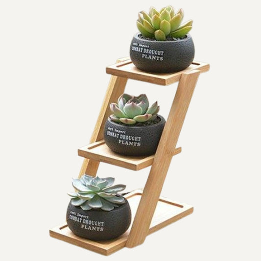 Escala - Soporte inclinado para plantas